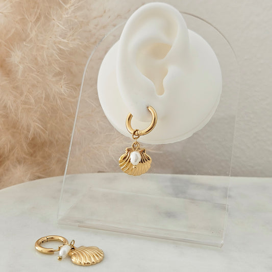 Seashell Earrings